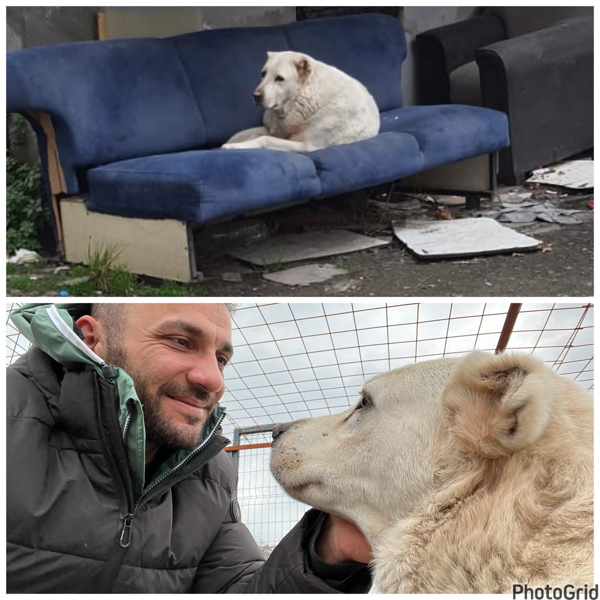 2 Yaşında Bir Bebeğin
Tecavüz Edilip Öldürüldüğü,
8 Yaşında Bir kızı Ortadan Yok Etmek İçin Bir Köyün Seferber Olduğu,
Sapıkların El Üstünde Tutulduğu,
Katillerin Hürmet Gördüğü,
Hayvanların Zevk İçin Öldürüldüğü,
Bir Dünyada Edilecek Tek Dua,,,
Kopsun Artık KIYAMET OLur🙏