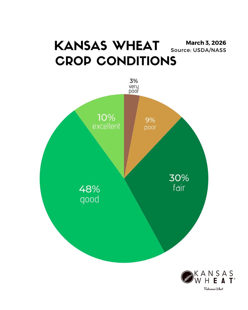 KansasWheat tweet media