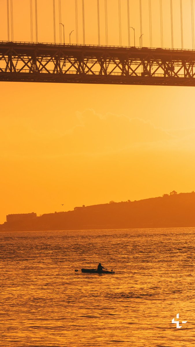 Unsplash tweet media