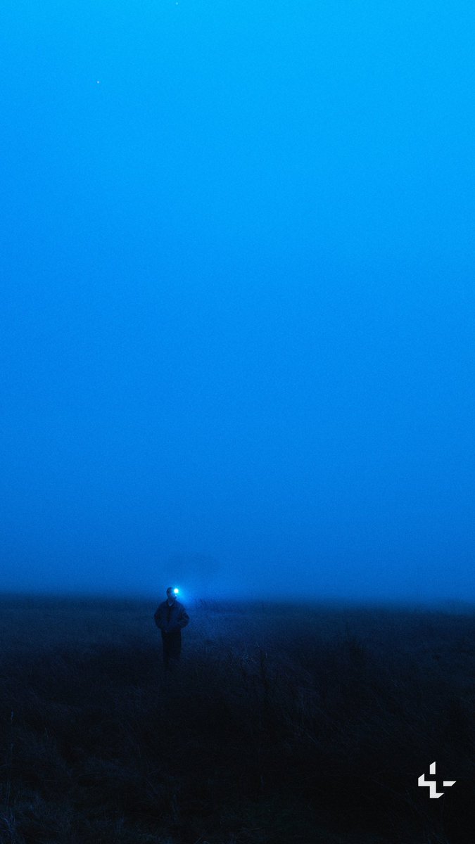 Unsplash tweet media