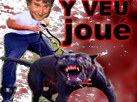 Dracaufeu tweet media