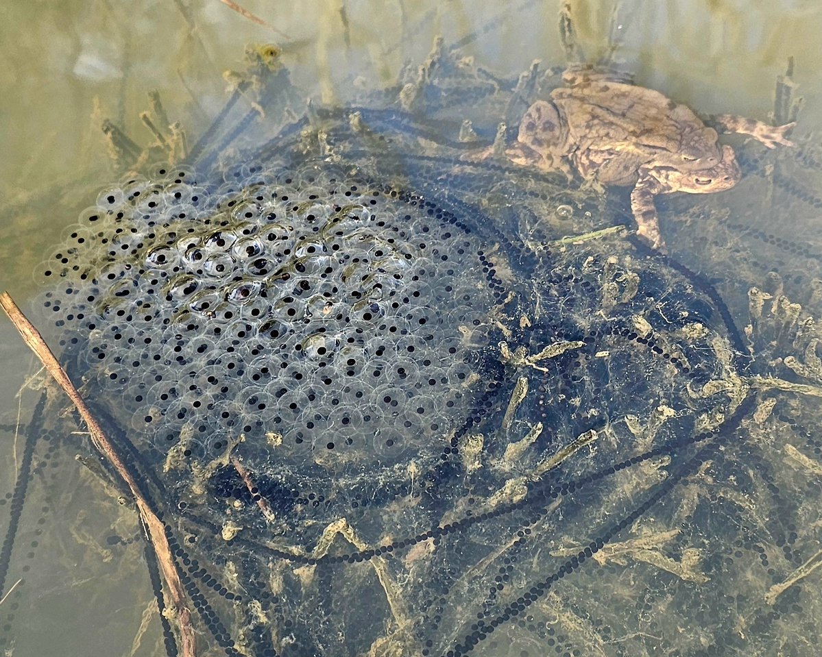 Andrew Wright tweet media