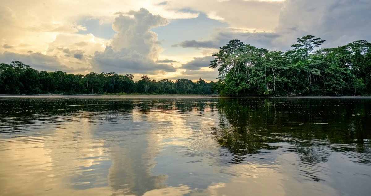 RightsOfNature's tweet photo. Press Release: Ecuador Constitutional Court issues new ruling strengthening #RightsOfNature - especially in the face of immediate and ongoing violations of rights.    https://t.co/Pehznef0lb https://t.co/cWwz9px62L