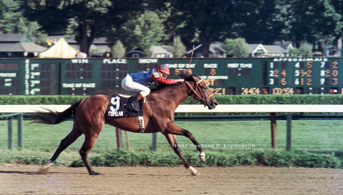 DRFLivingston's tweet photo. No doubt many of you remember COPELAN. 

The beautifully-bred Fred Hooper homebred (1980, Tri Jet-Susan's Girl) won 7 of 17 starts, with a 2nd, 3 3rds, and earnings nearly $600K.

Copelan's wins included the G1 Hopeful, G1 Futurity, G1 Champagne, G2 Fountain of Youth, G2 Sanford. https://t.co/vYbFgERWpP