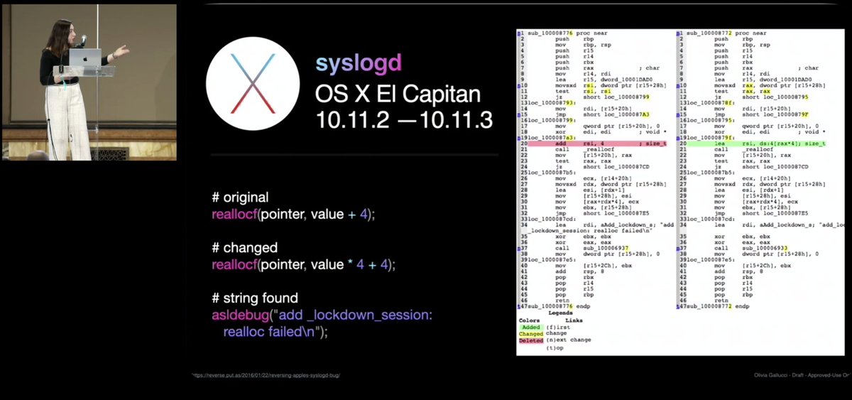 Jamie Levy🦉 tweet media