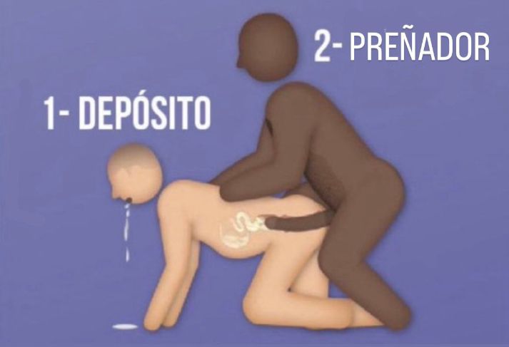 Soy el 1 quién para ser el 2 🔥🔥🔥