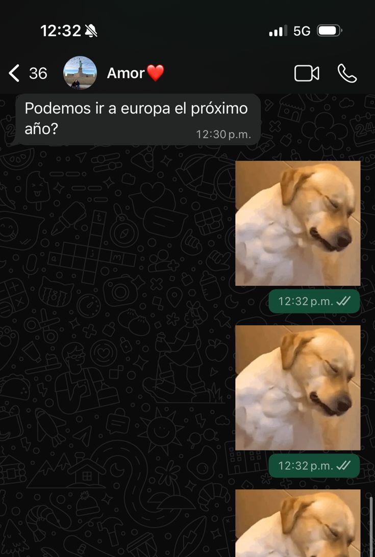 Cobra🐍 tweet media