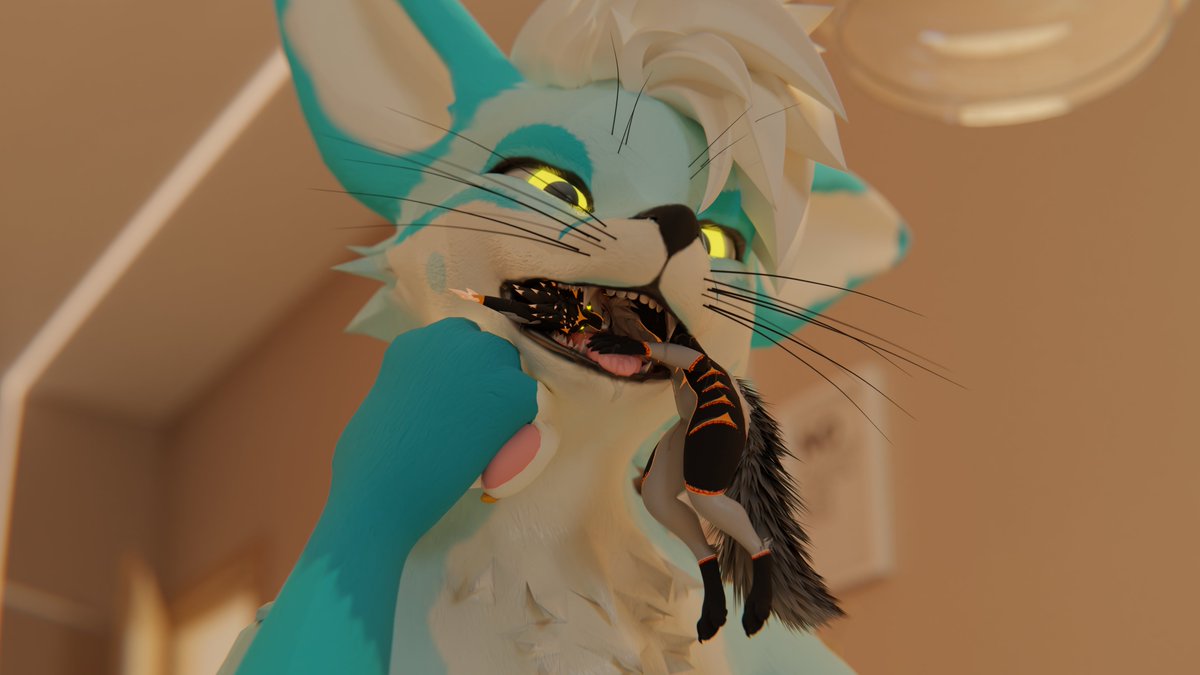 Cinder tweet media