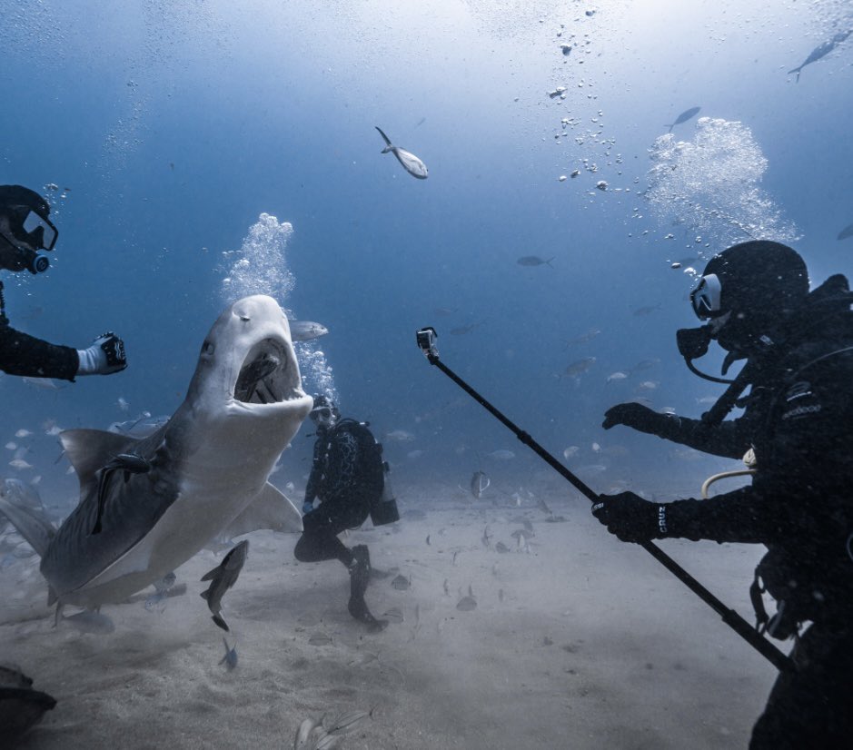 DC Power tweet media