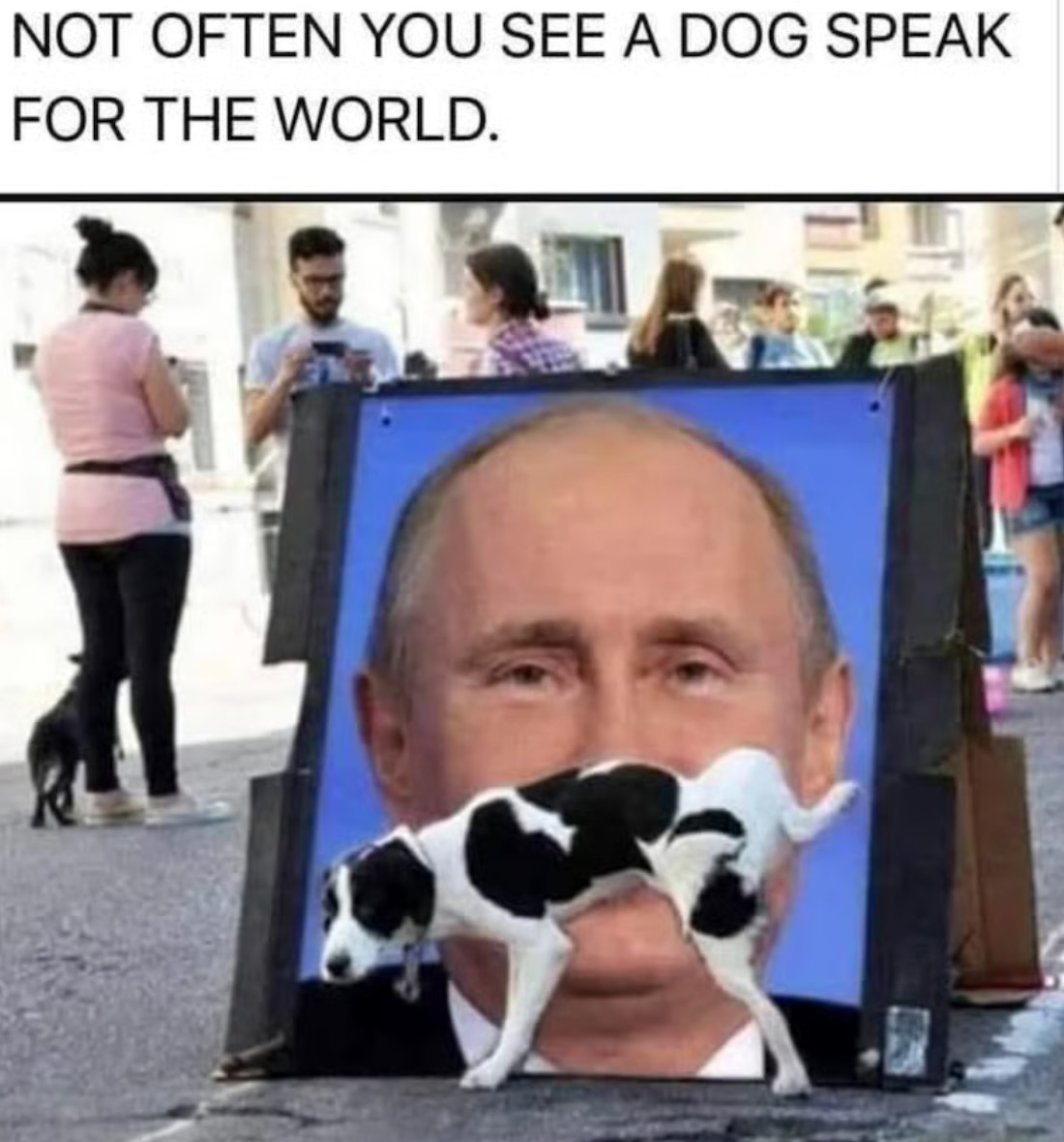 Dwain Duxson - An Ag Enthusiast tweet media