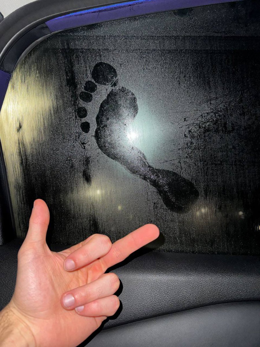 MASTER LEON💎🥊 tweet media