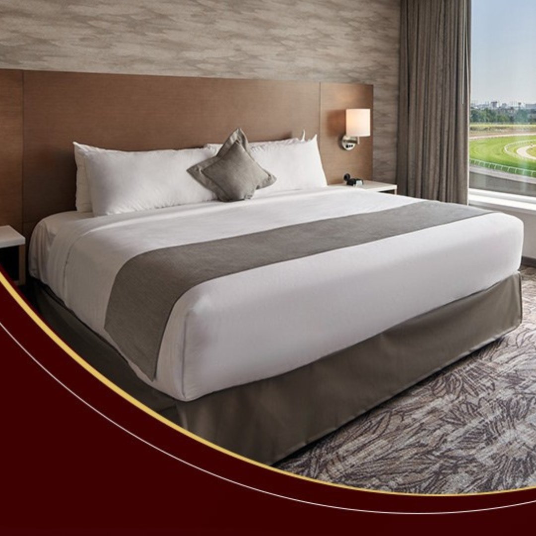 Great Canadian Toronto tweet media