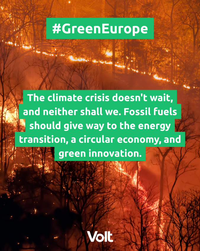 Volt Europa tweet media