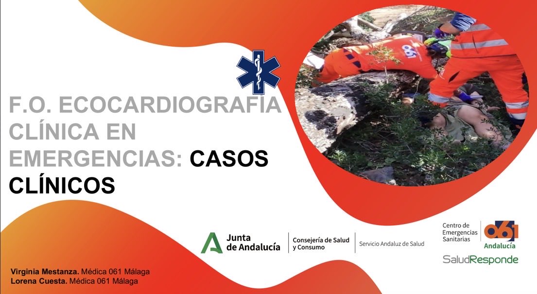 V. Mestanza Avila tweet media