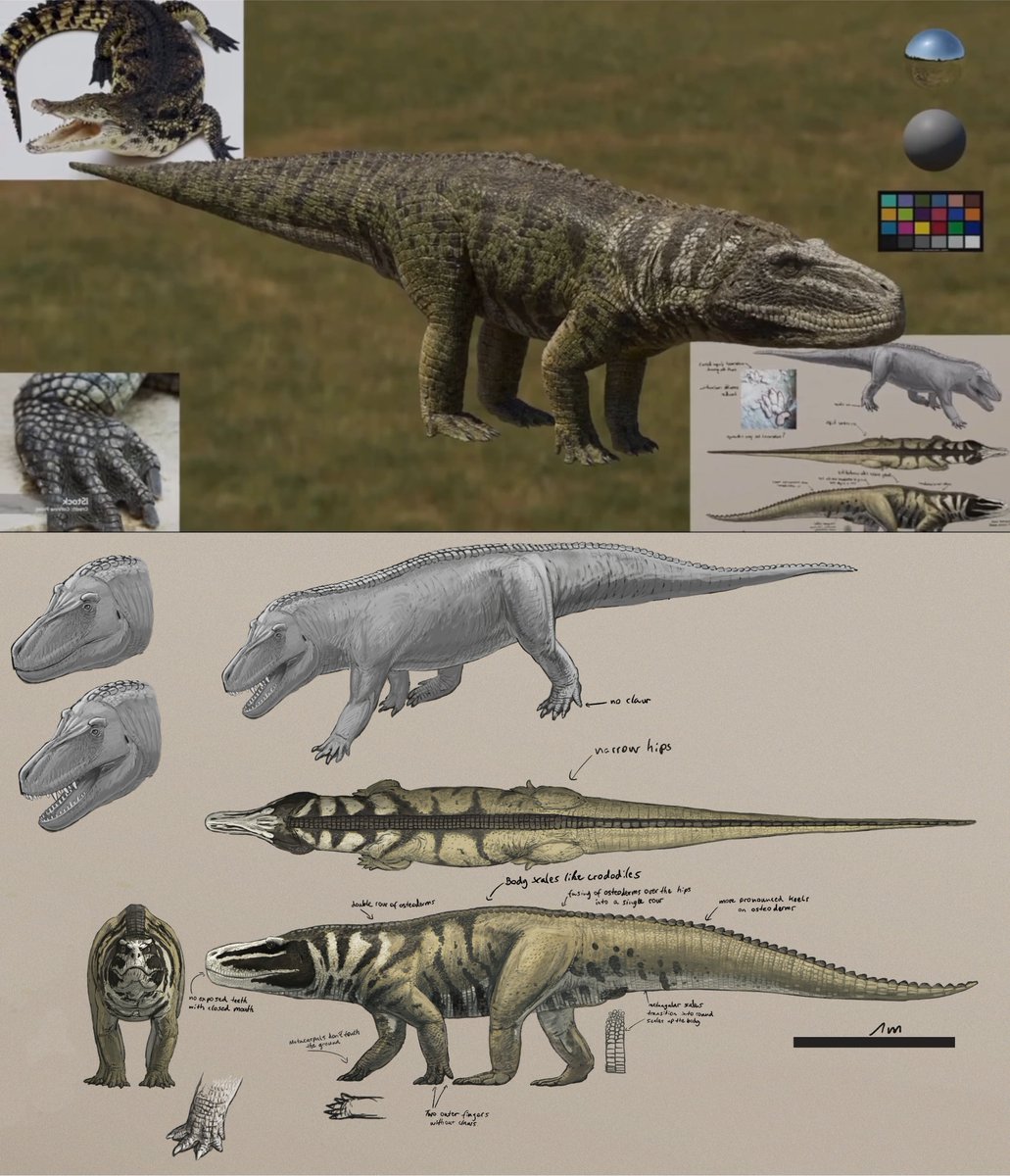 A little closer look at the Saurosuchus concept art I did for them ;)