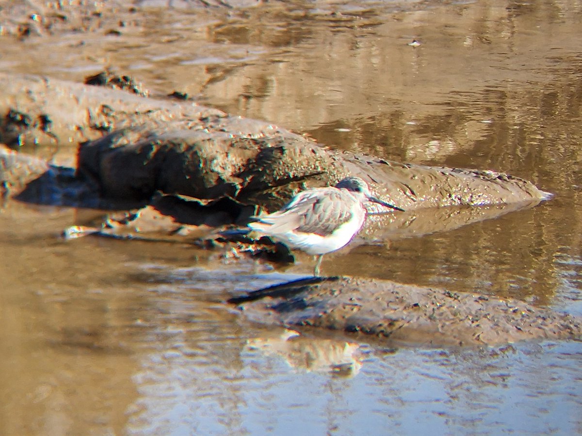 Natural Derbyshire Tours tweet media
