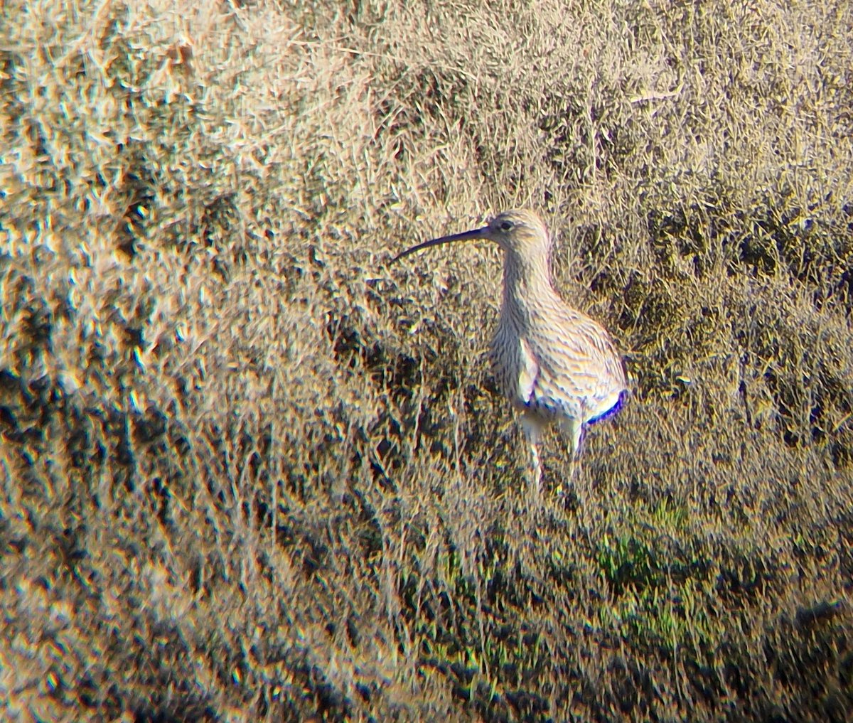 Natural Derbyshire Tours tweet media