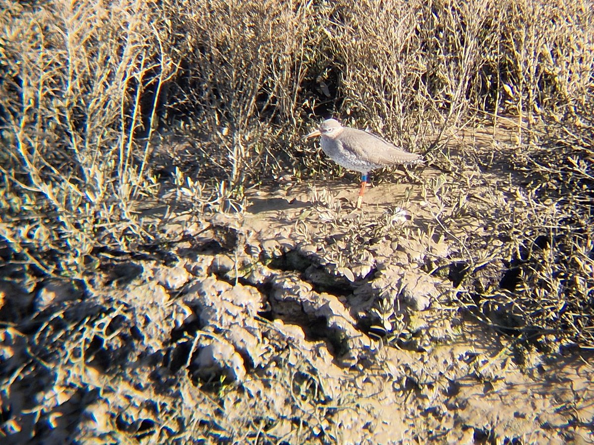 Natural Derbyshire Tours tweet media