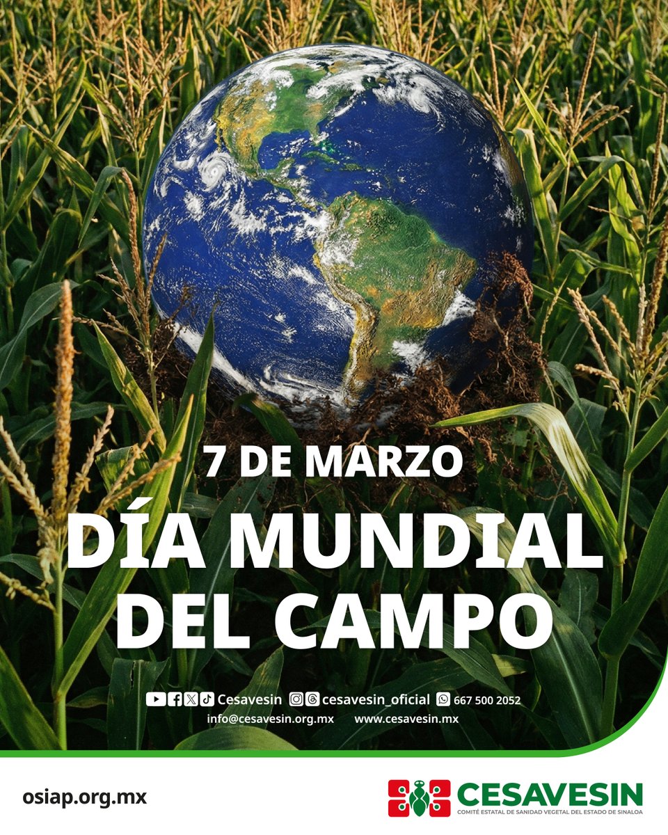 Cesavesin's tweet photo. 🌱🌎🌾 El campo es más que tierra; es alimento, trabajo, conocimiento y futuro. Hoy reconocemos a quienes lo cuidan y lo hacen producir de forma responsable, impulsando la sostenibilidad y la seguridad alimentaria.

#DíaMundialDelCampo #ElCampoNosUne #DelCampoATuMesa https://t.co/mFAA2wsz9V
