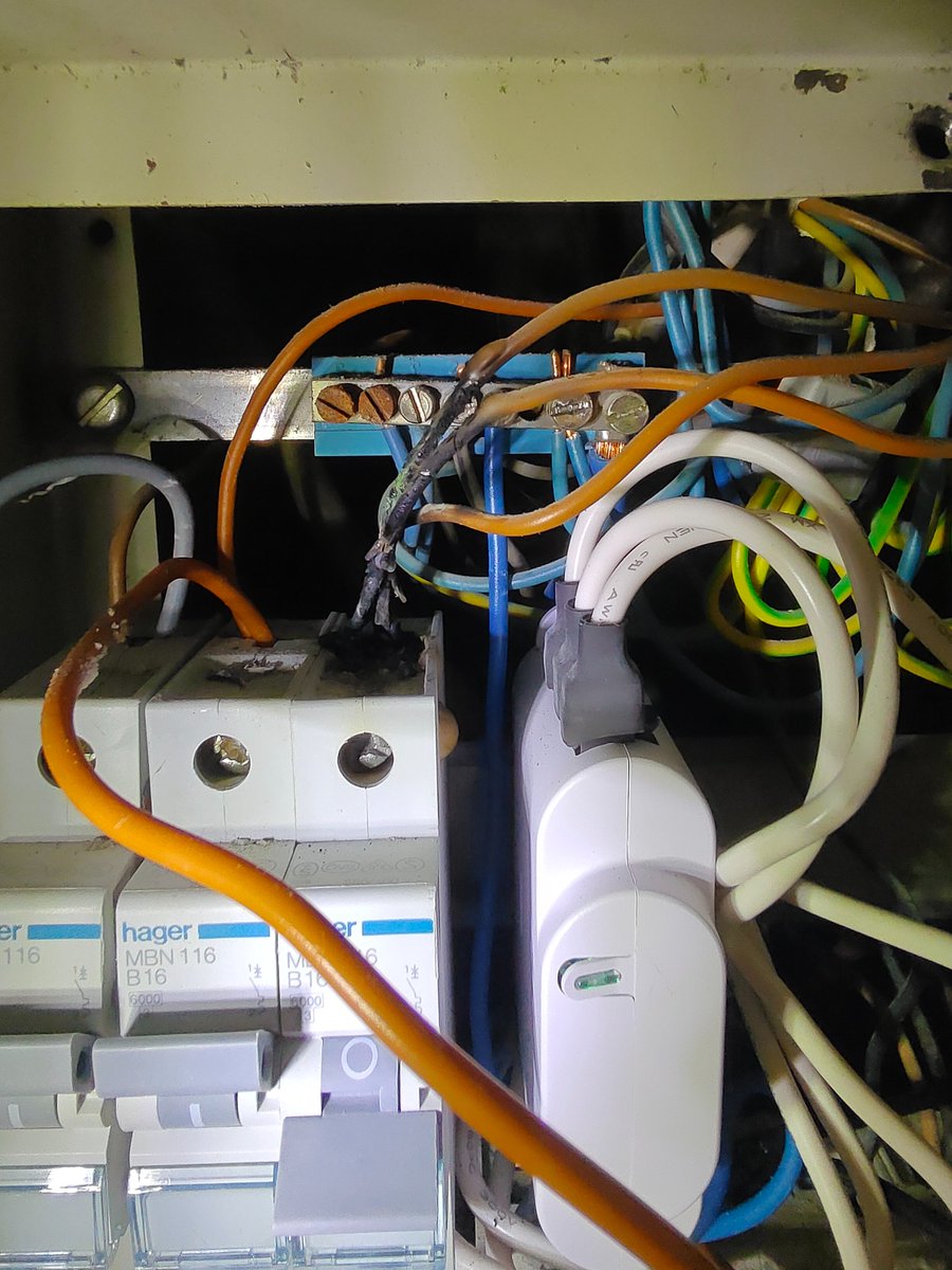 joschua wookie tweet media