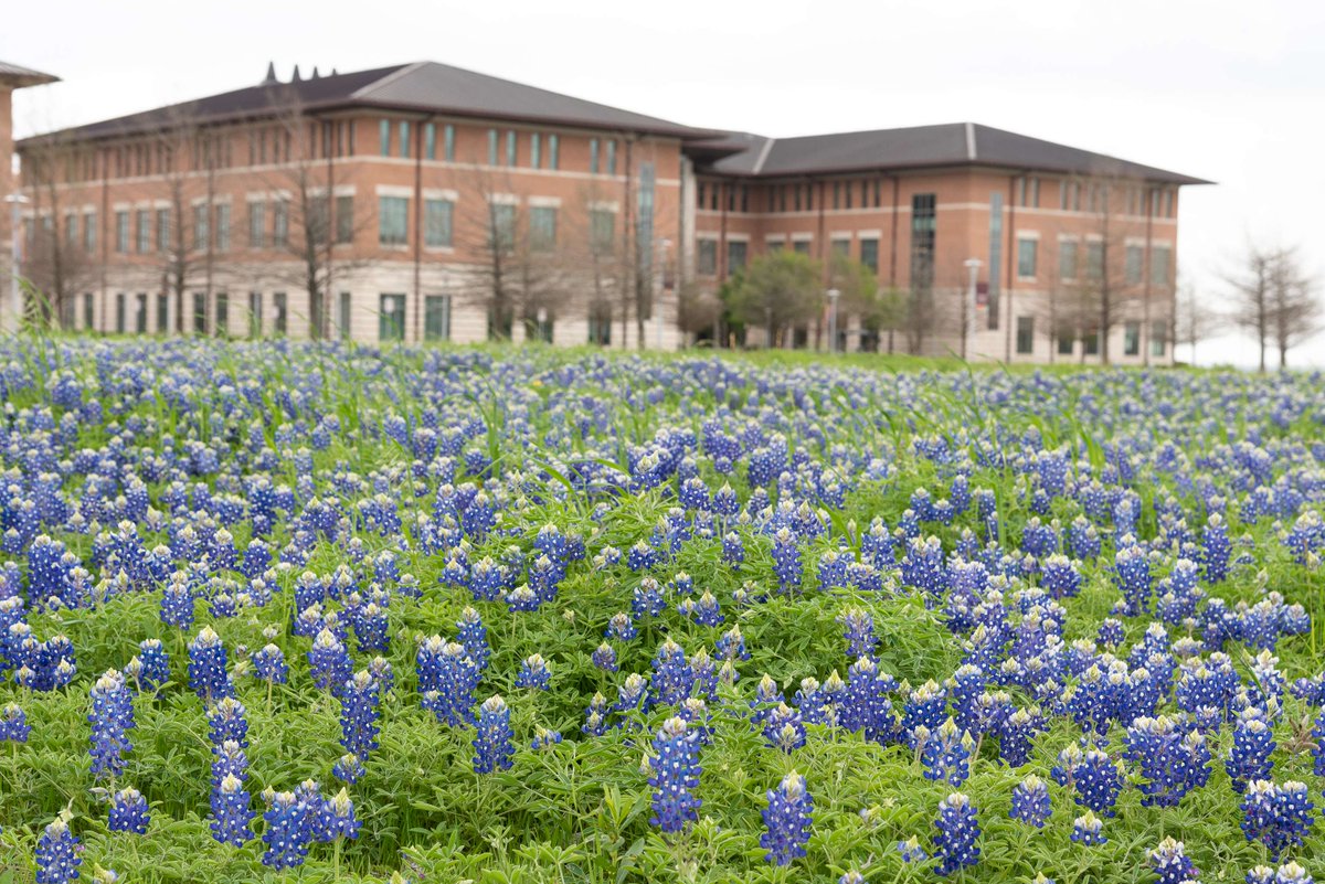 Texas State University Round Rock tweet media