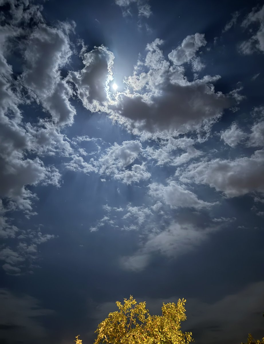 بندر طلال السعيد tweet media