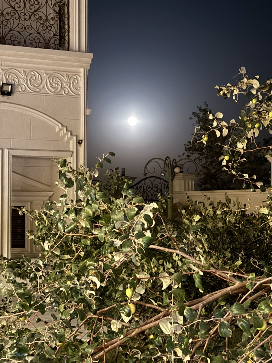 بندر طلال السعيد tweet media