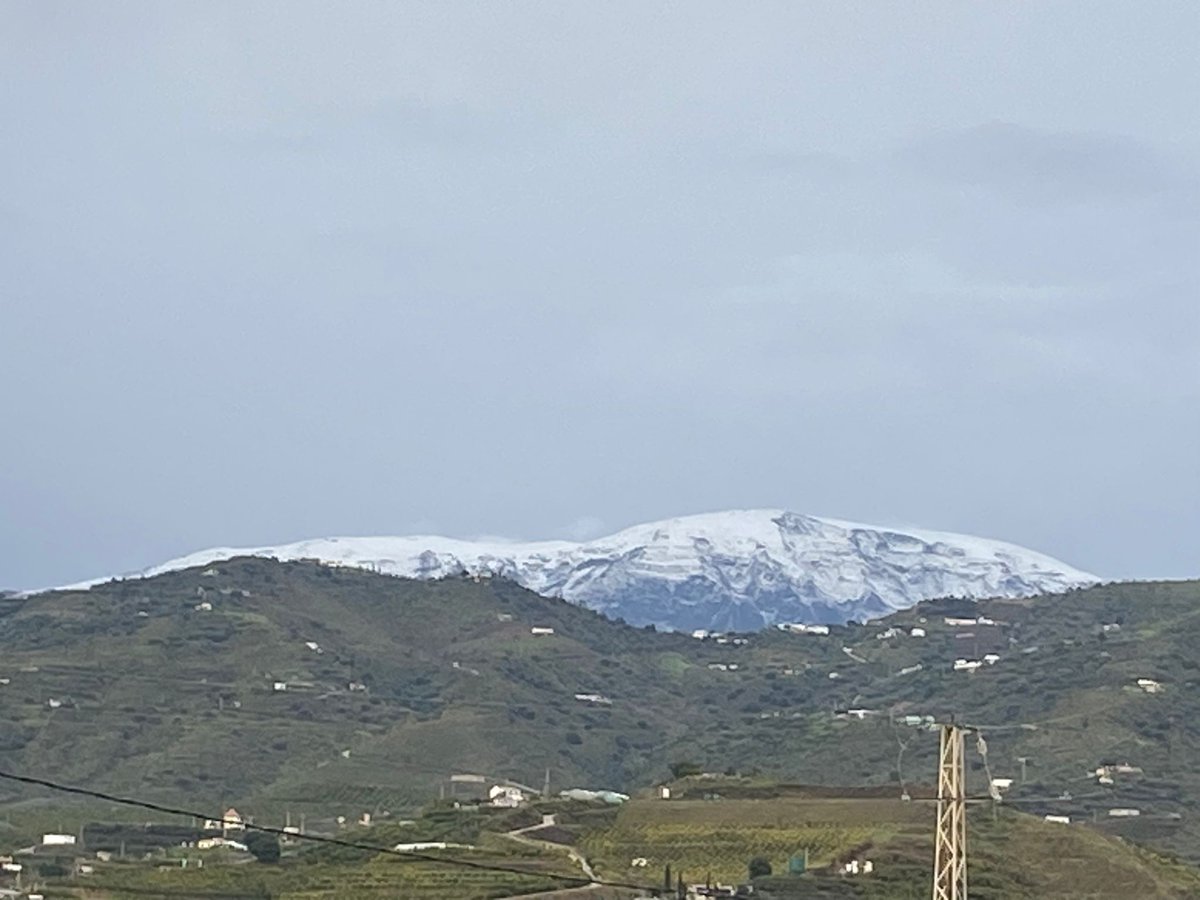 ISRAEL DE  RUS tweet media