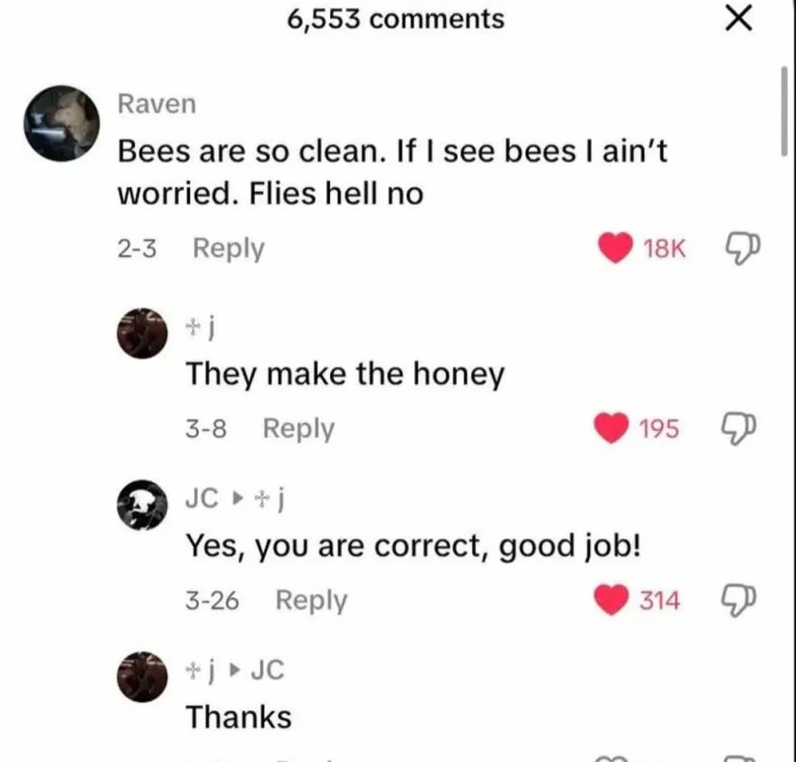 brainrot dimension (@brainrotpostig) on Twitter photo 