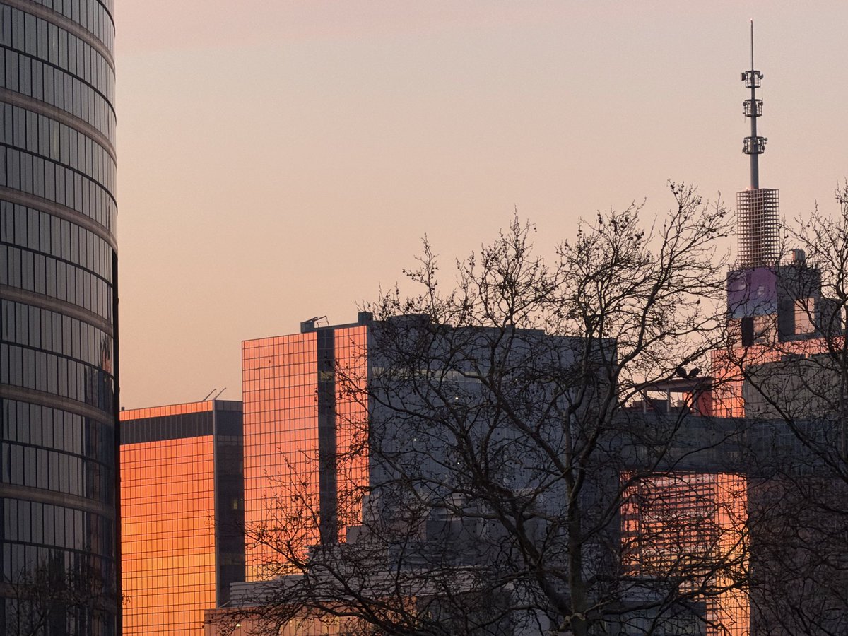 Toon Vanagt tweet media