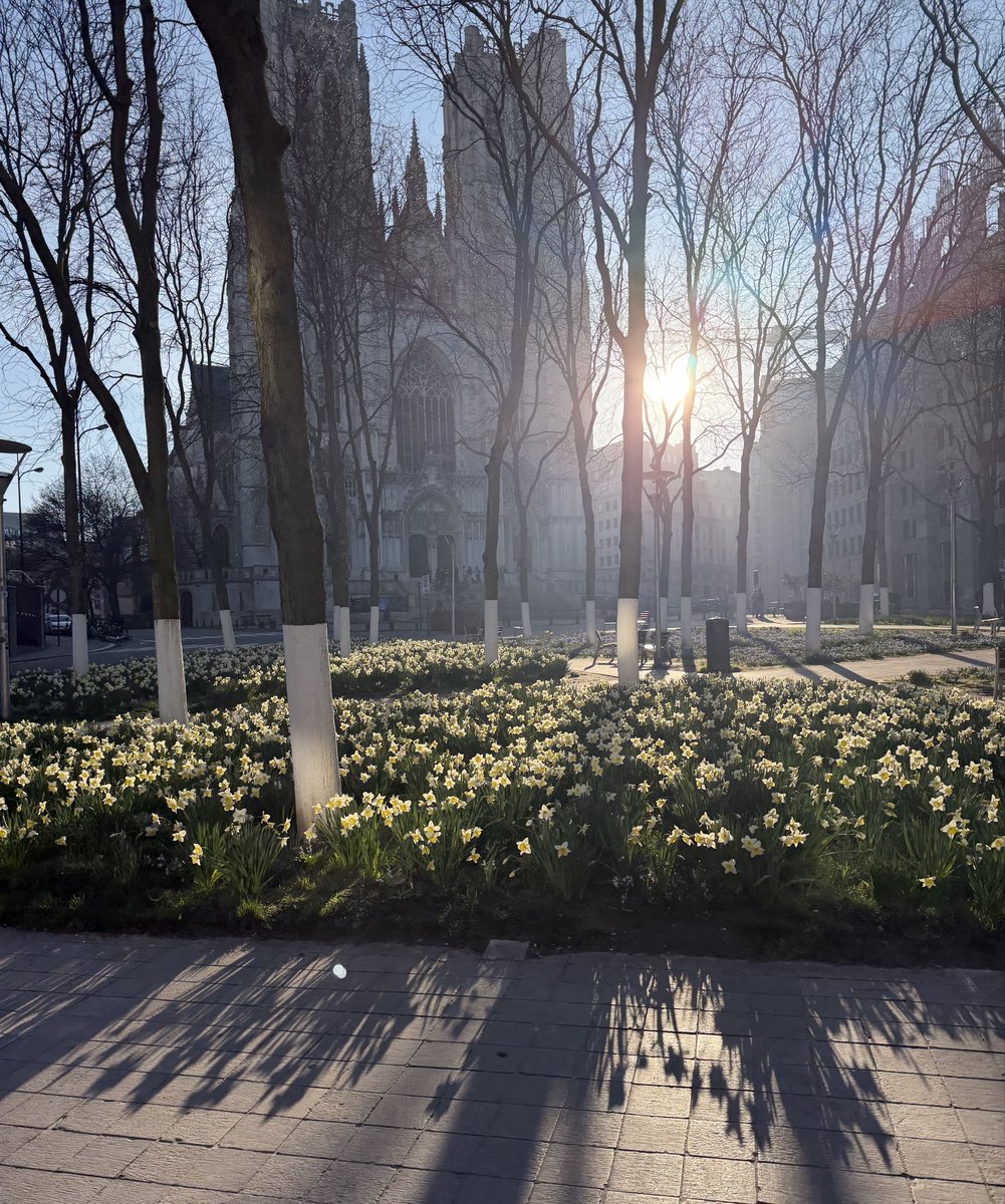 Toon Vanagt tweet media