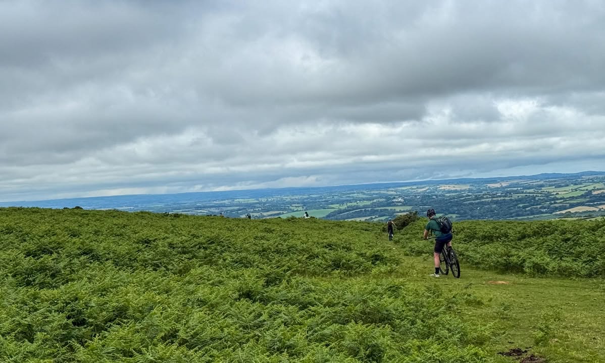 Dartmoor National Park tweet media