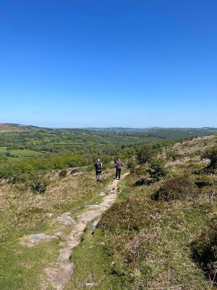 Dartmoor National Park tweet media