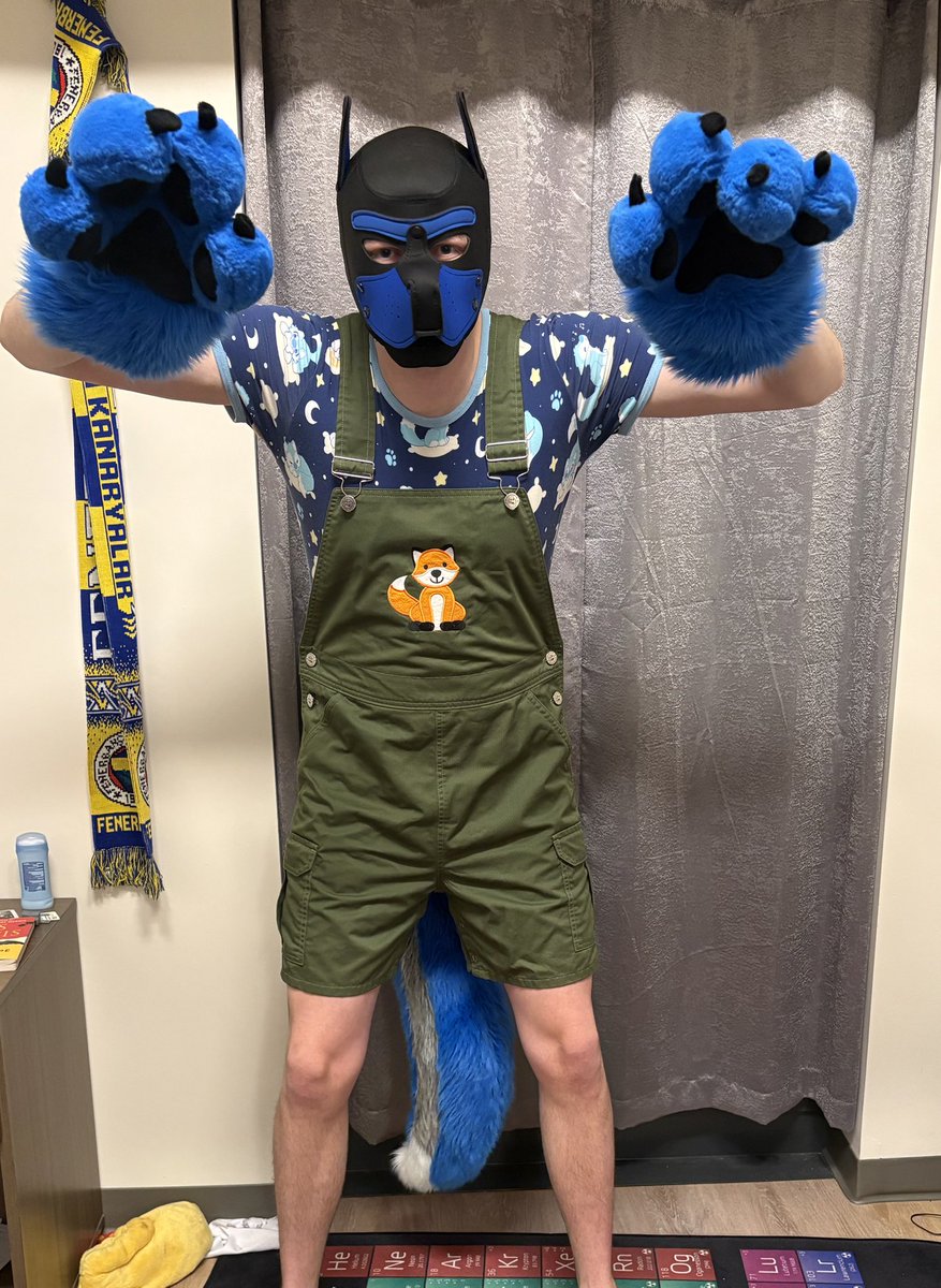 Lil Johnny 🔜 TFF tweet media