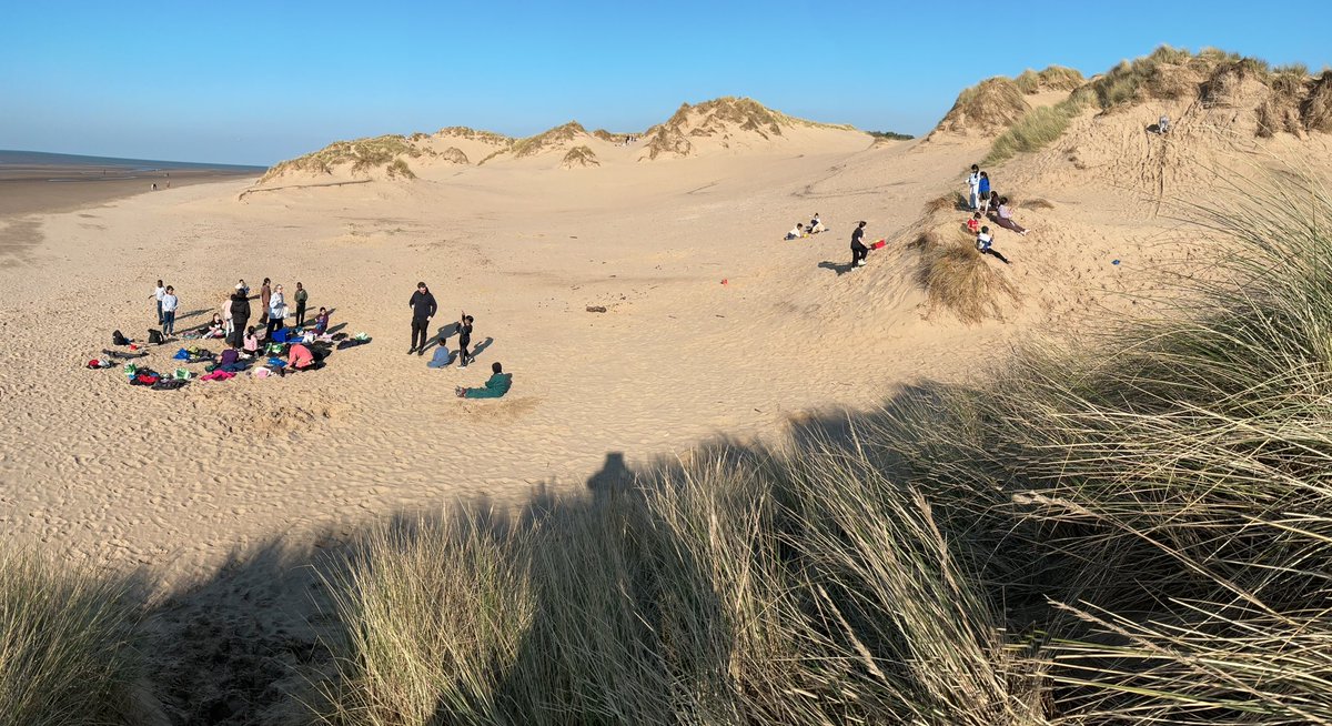 Lawrence Primary tweet media