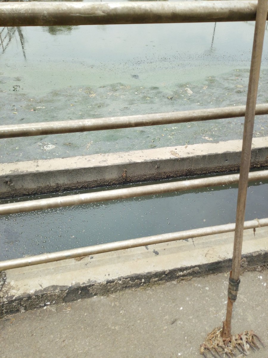 Action des Femmes pour une Planète Bio (AFEPB) tweet media