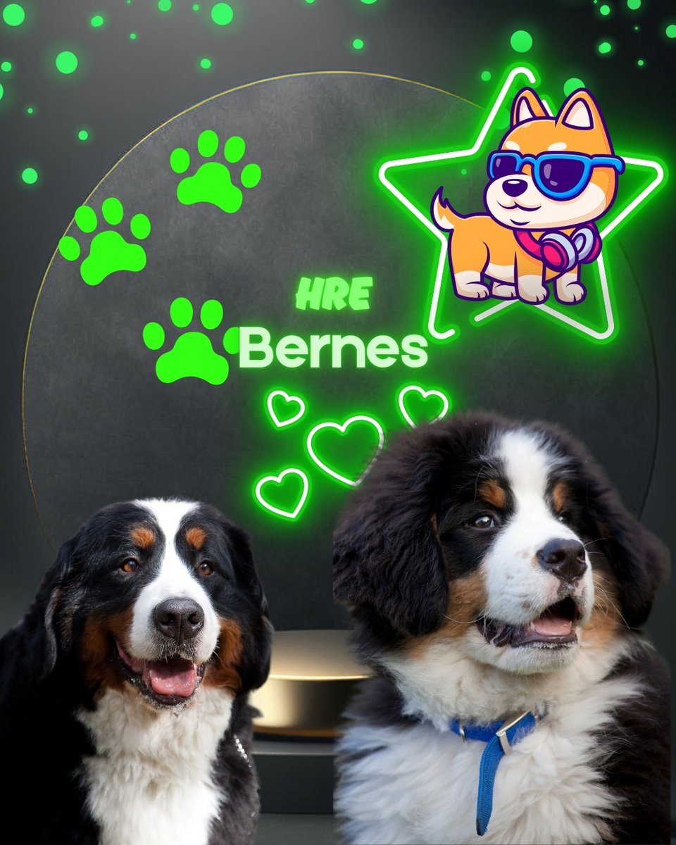 Mascotas Cachorros perros gatos Colombia club tweet media