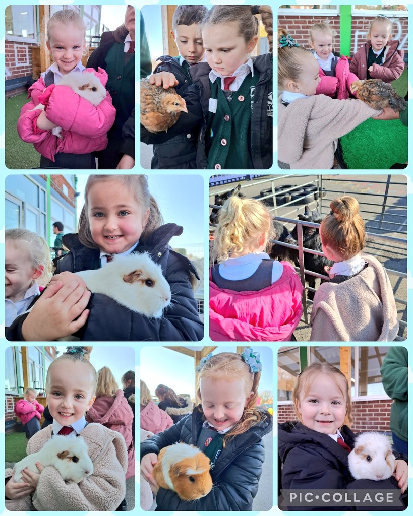 Mrs Jones tweet media