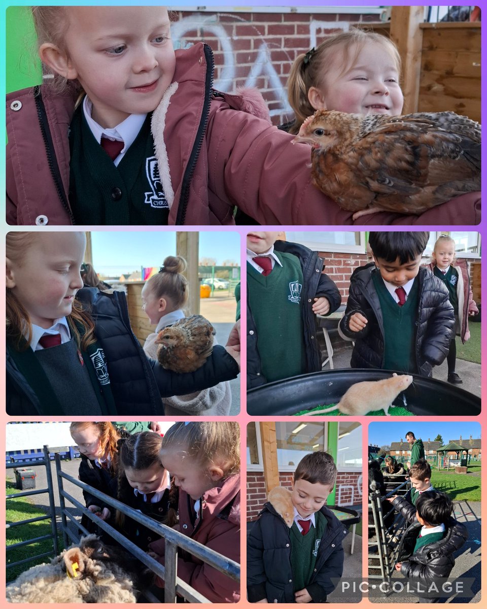 Mrs Jones tweet media