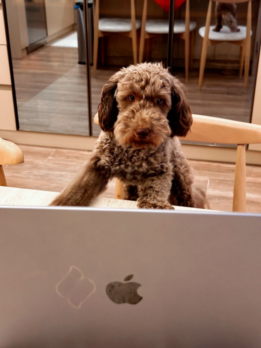 Atakan Y | Zentra Finance tweet media