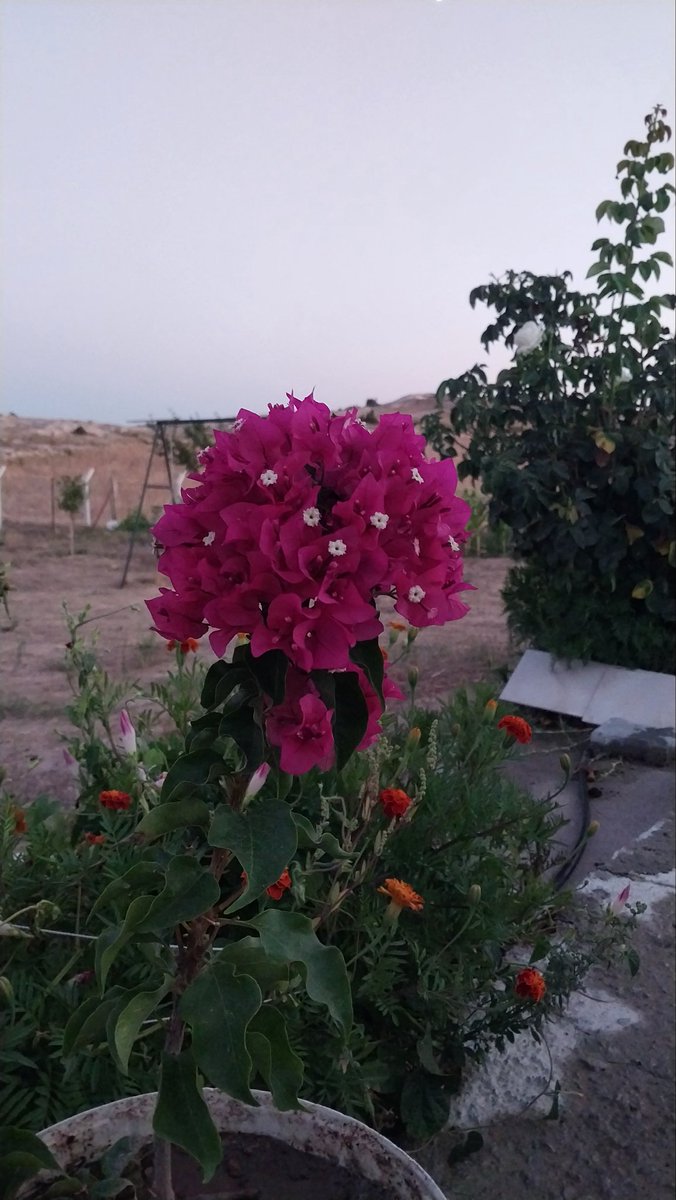 Doğan KAYABEKİR (@dogankayabekir) on Twitter photo 