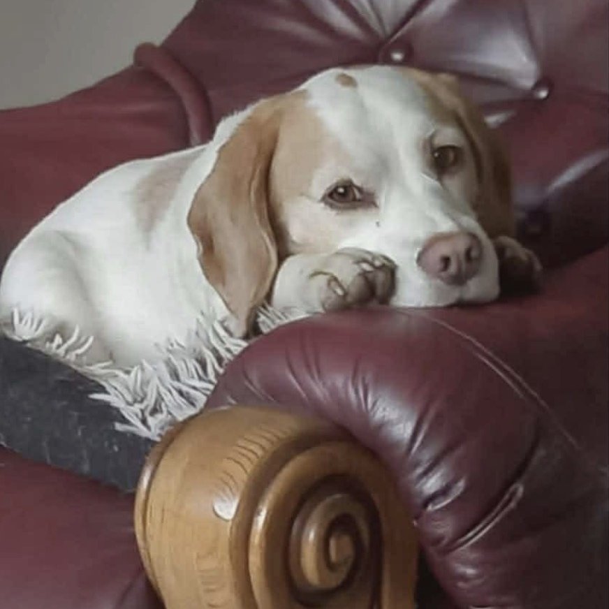 chris towers tweet media