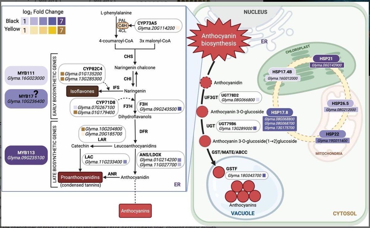 Plant Direct Journal tweet media