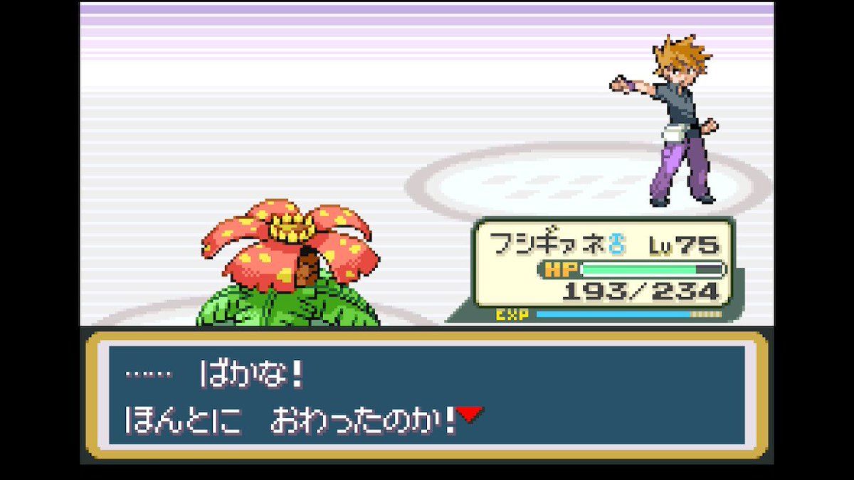 ハルディオ tweet media