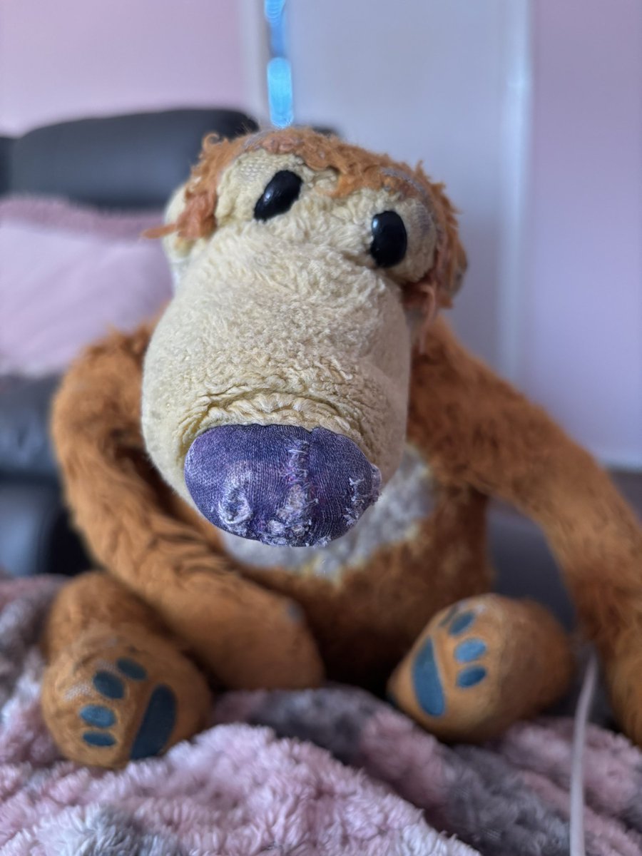 Bear Honey (@BaDameIshaBEAR) / Posts / X