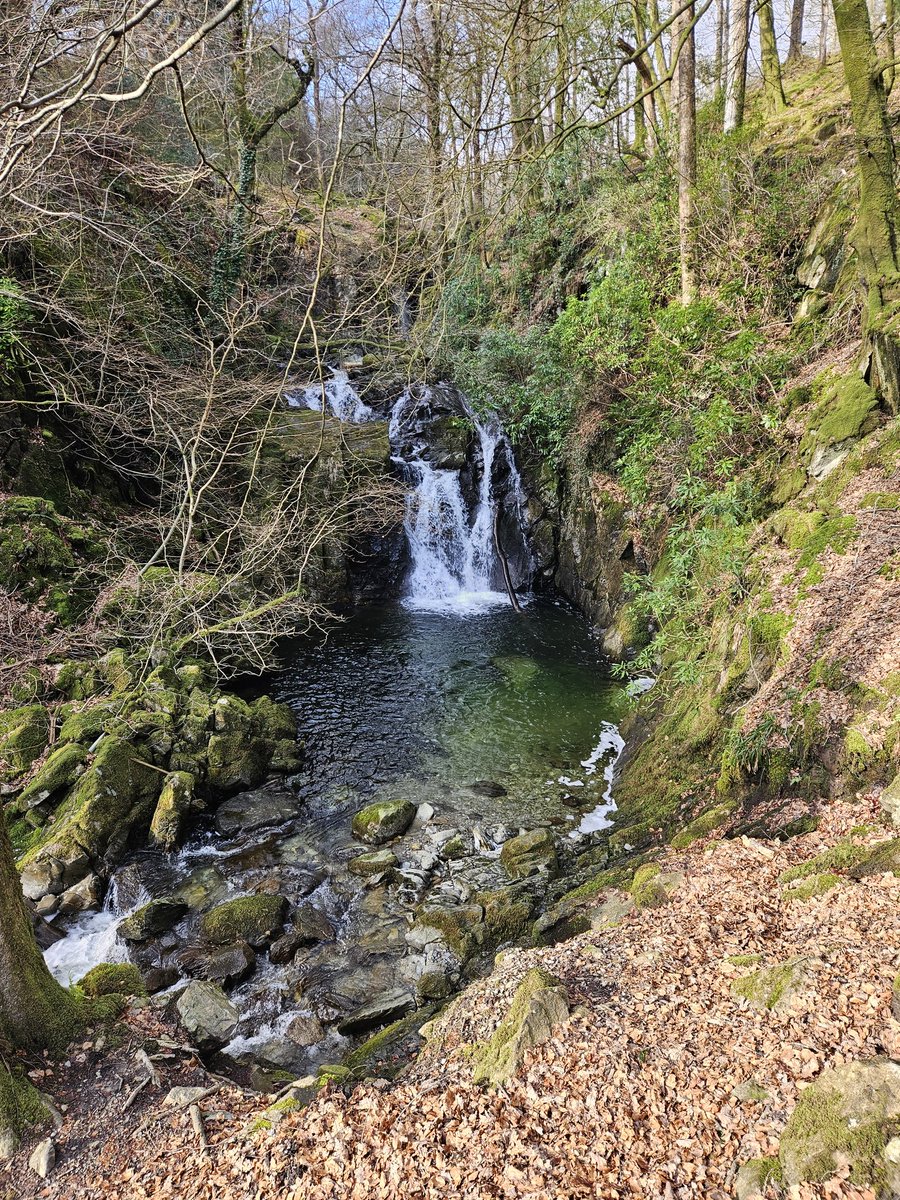 The Cumbrian Detectorist tweet media