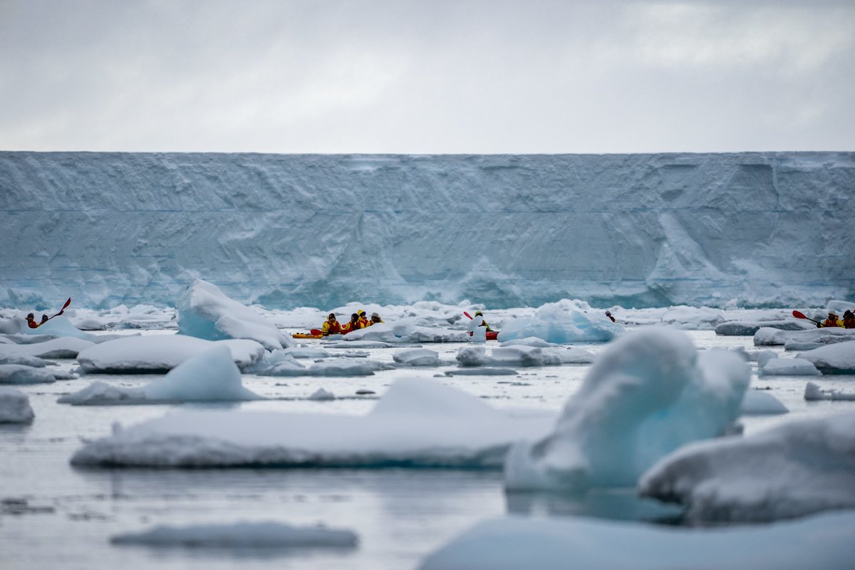 Swan Hellenic tweet media