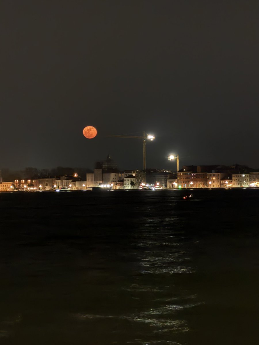 PilloleCult's tweet image. #Venezia è anche un sogno, di quelli che puoi comperare
Però non ti puoi ritrovare con l'acqua alla gola e un dolore a livello del mare…

La riconoscete in quanti secondi, #cultisti ?

Redattore viaggiante in Giudecca, verso cicchetti e spritz assortiti 😉

@pillolerock