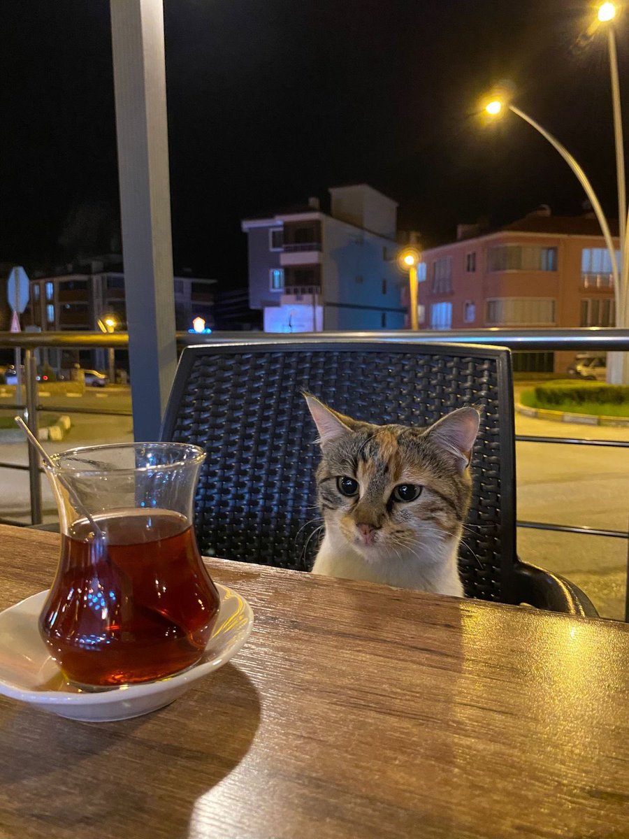 𓆸 figürsel (@ffigursel) on Twitter photo 