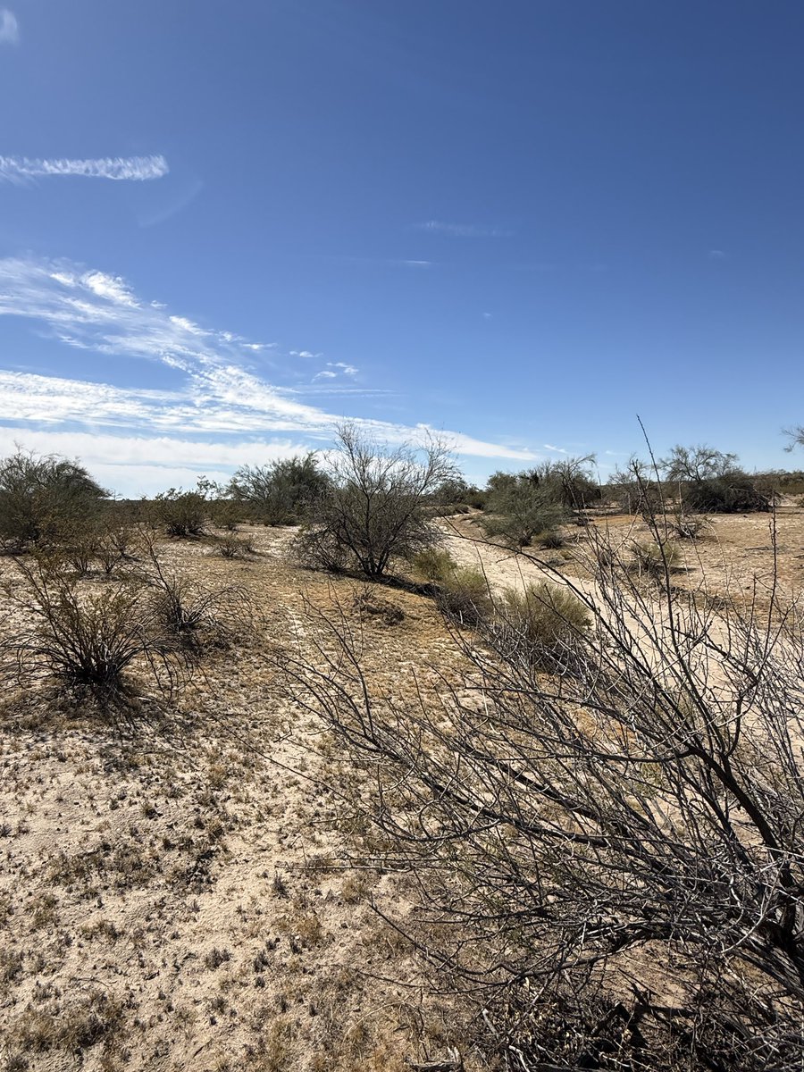 SF_investigates's tweet image. I spent yesterday on a search in Parker AZ after being asked to assist by local and federal law enforcement, and today I am on a different search in a different area of AZ. #SAR